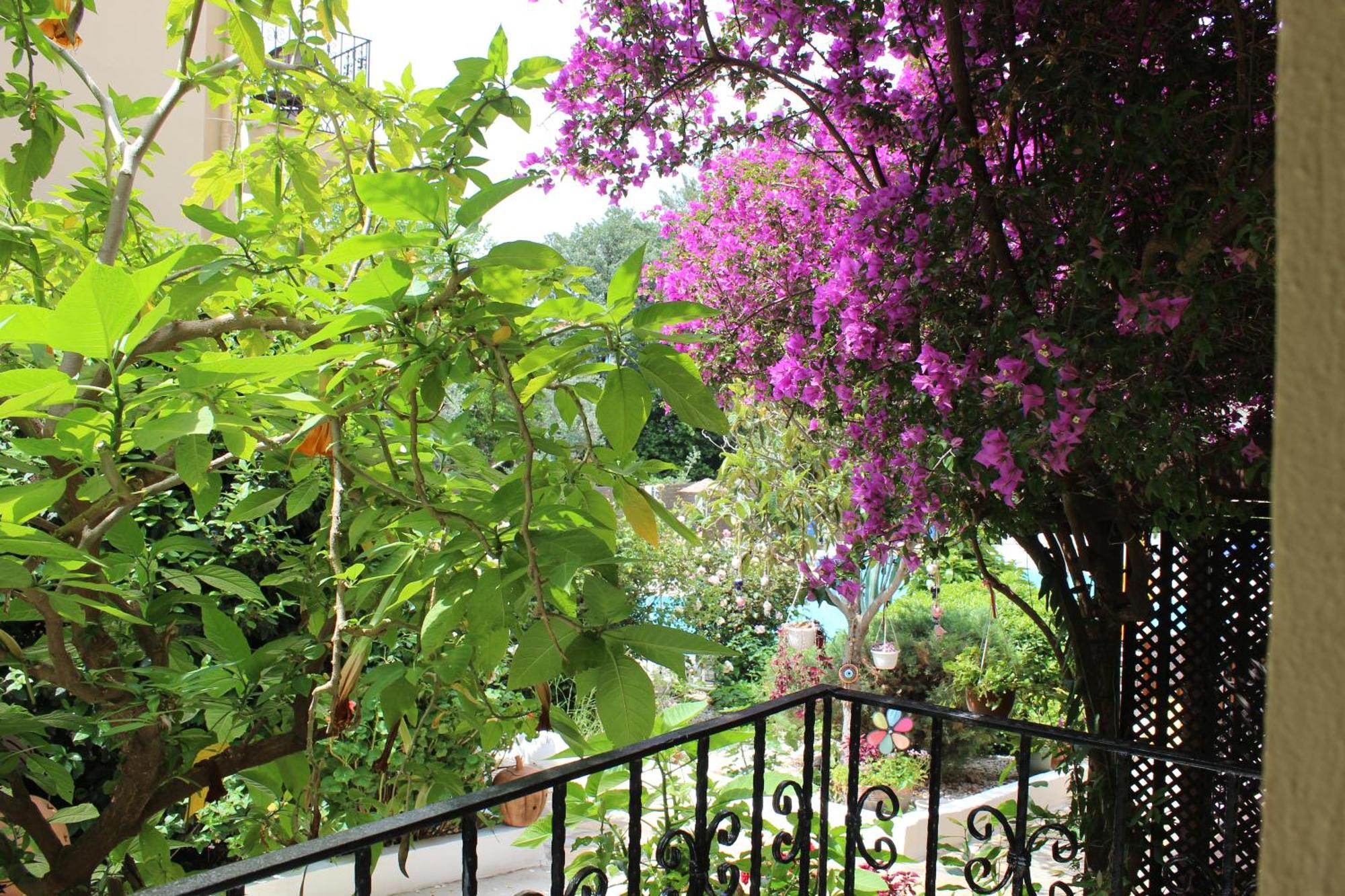 Tunacan Hotel Ολουντενίζ Εξωτερικό φωτογραφία
